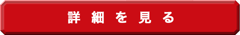 詳細を見る